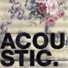 Acoustic 1 small.jpg