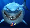 findingnemo.jpg