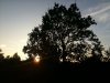 sonne2.jpg