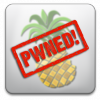 pwnagetool-pwned.png