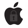 Apple Lock.jpg