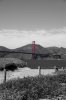 golden gate 1-3.jpg