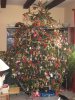IMG_5556-Weihnachtsbaum.jpg