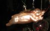 IMG_5567-Schwein.jpg