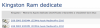 080101-ram_500..png
