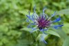 _DSC3627.jpg