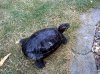 11072010007.jpg 11072010007.jpg