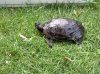 11072010006.jpg