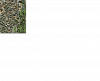 WoSindWir1.png