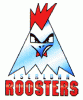 iserlohn_roosters_2002.gif