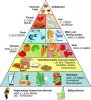 548px-Ern%C3%A4hrungs_Pyramide.jpg