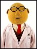 muppets_bunsen.jpg