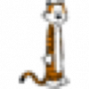 Bild 1.png