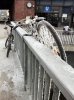 winter-1.jpg
