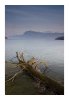 Vierwaldstättersee-1.jpg