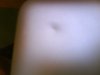 DSC00031.jpg