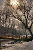 Beijing_other-4.jpg