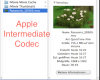 Apple Intermediate Codec.png