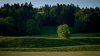 20110823_5472.jpg