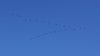 DSC04593.jpg