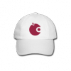 apfeltalk-cap.png