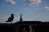 New York Urlaub 2011-2429.jpg