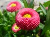 DSC03736.jpg