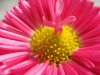 DSC03740.jpg