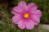 ImageUploadedByTapatalk HD1332184086.745516.jpg
