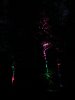 7165713802_2901742183_b.jpg