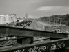 DSC00310.jpg