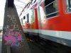 DSC00357.jpg