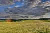 img085108532cvsu3kwet.jpg