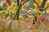 DSC_0117.jpg