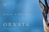 Ornata.jpg