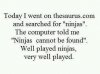 ninjas.jpg