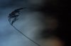 sturm.jpg