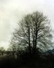 dsc00324cw7.jpg