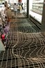 Illusion-Carpet-in-The-Game-Store.jpg
