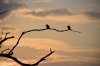 Australien_2011_Kakadu NP 40.jpg