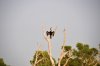 Australien_2011_Kakadu NP 129.jpg