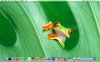 pascolo-desktop-24-08-2012.jpg