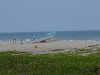 strand.jpg