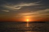 DSC_0446.jpg