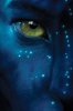 avatar.jpg