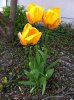 IMG_0646.jpg
