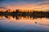 Sunset_bearbeitet.jpg