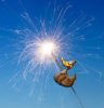 duck and wondercandle.jpg