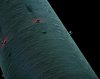 Weltraumstation-a27569102.jpg
