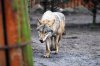 DSC_5805-1.jpg